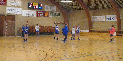 haandbold4.jpg (21311 bytes)