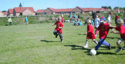 Loeb.jpg (10651 bytes)