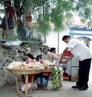 Ingen-penge-til-masser-af-mad.jpg (18586 bytes)