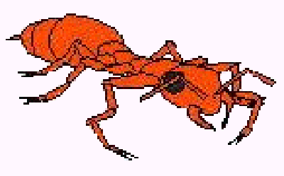 22oktIldmyre.gif (16804 bytes)