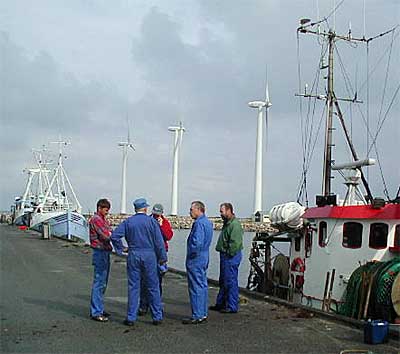 Havnebillede.JPG (27578 bytes)