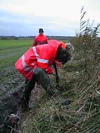 !perslib.jpg (18135 bytes)