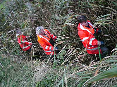 !tre-mnd.jpg (54931 bytes)