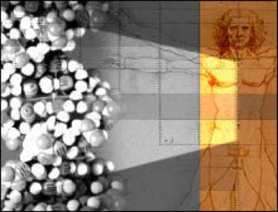 26nov_fosterkloning_400.jpg (26264 bytes)