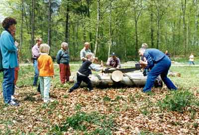 Sav400.jpg (20553 bytes)