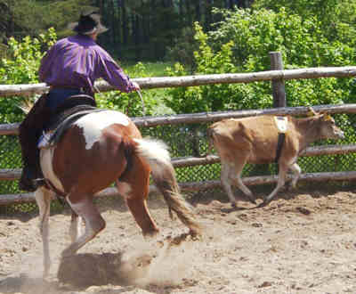 WESTERN-STAEVNE 2002-05-26-A.jpg (18672 bytes)