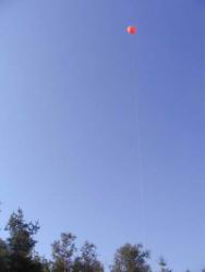 038 helium vil op.JPG