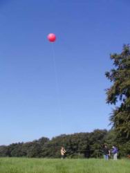 045 fri af skovbrynet.JPG