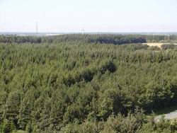 060 sigt til Laen.JPG