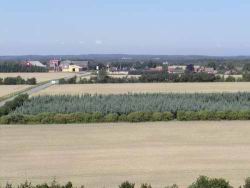 063 sigt til DK Benzin.JPG