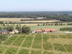 068 en silotop i det fjerne.JPG