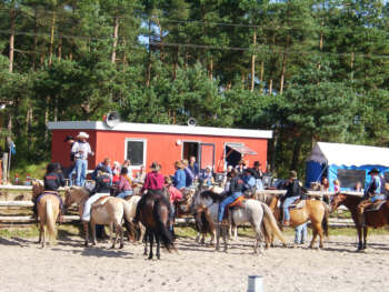 09010009.jpg (24807 bytes)