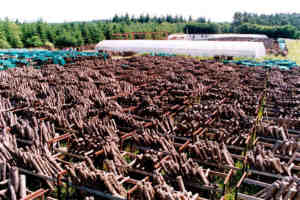 Oversigt.jpg (12222 bytes)