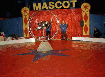 img25.jpg (10769 bytes)