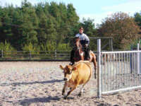 09250057.jpg (8157 bytes)