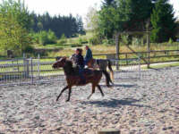 09250075.jpg (8630 bytes)