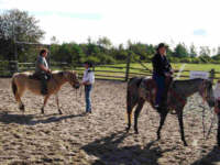 09250081.jpg (7518 bytes)