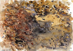 3-akv.jpg (4664 bytes)